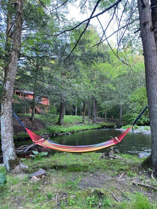 Peaceful Gateway To Island Creek Cottage إيست سترودسبورغ المظهر الخارجي الصورة